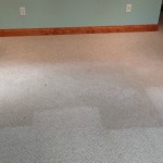 carpet cleaning revicew mt horeb