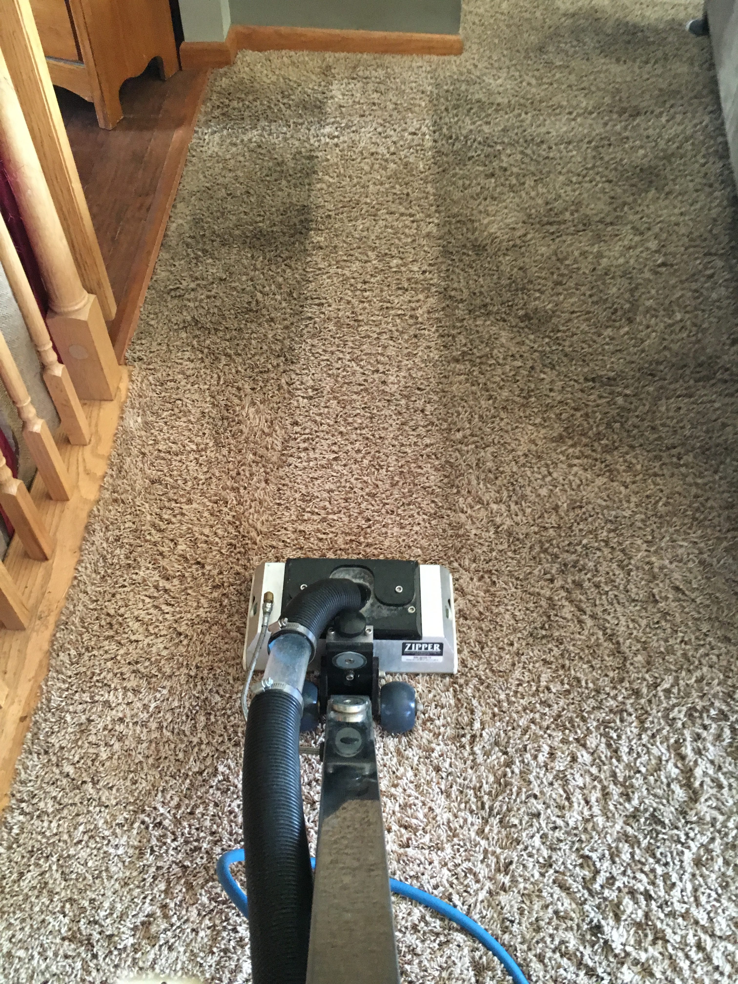 carpet cleaning Cross Plains WI