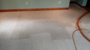 Carpet cleaning Madison, WI 