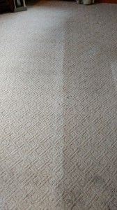 Middleton carpet cleaner 
