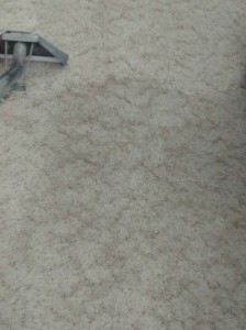 steam cleaning carpet 